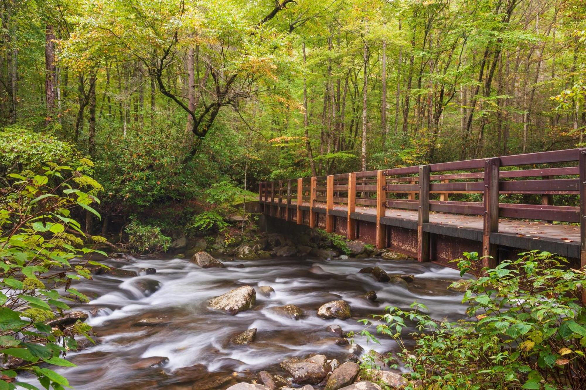 Wilderness Lodge, Hot Tub, Game Room, Pool Access, 1089 Free Tickets Each Paid Day, Dollywood And M เซอเวียร์วีล ภายนอก รูปภาพ
